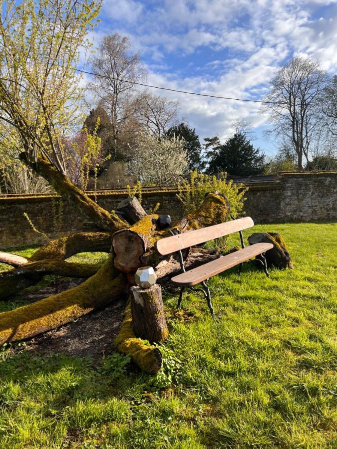 Domaine Des Anges Bed & Breakfast Avesnes-sur-Helpe Bagian luar foto